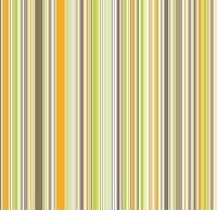 Stripes 11