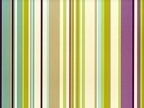 Stripes  17