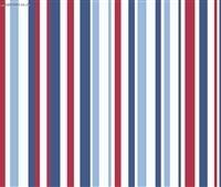 Stripes 18