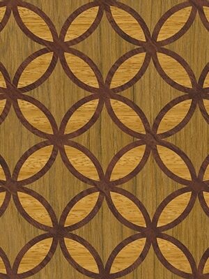 Parquet Floors 6