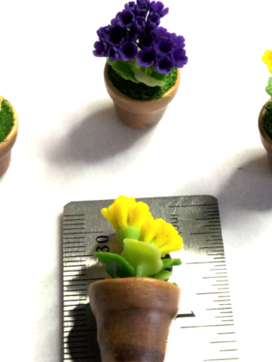 Floral blossoms