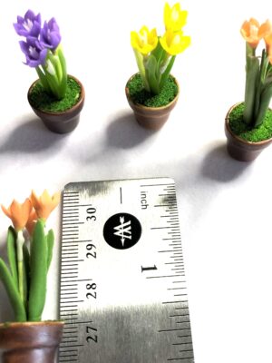 spiky tulips