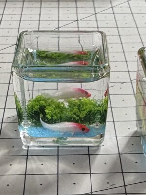 fish tanks for barbie & blythe dolls