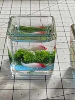 Fish tanks small rectangle